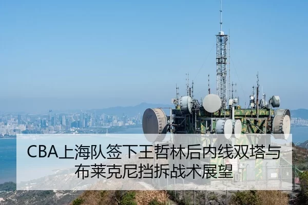 CBA上海队签下王哲林后内线双塔与布莱克尼挡拆战术展望